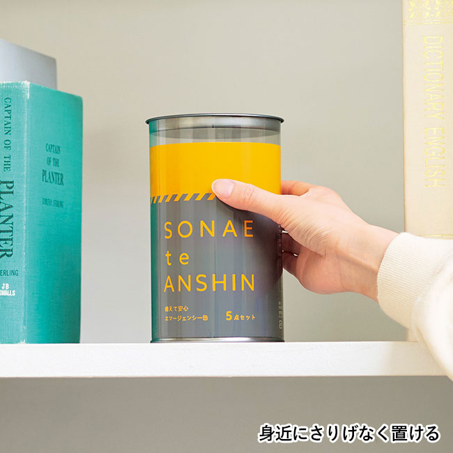 備えて安心　エマ缶5点セット（SNS-0701076）身近にさりげなく置ける