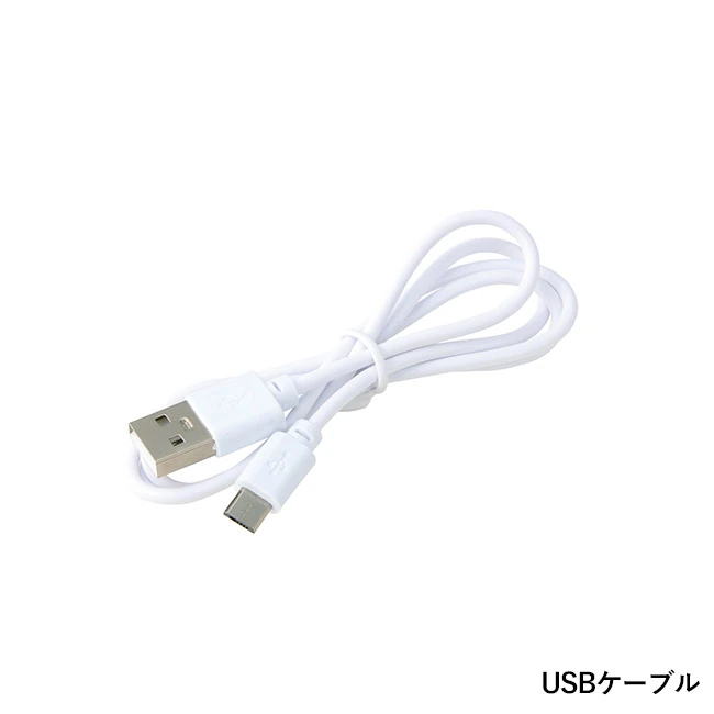 PureMoist クリア加湿器260ml(SNS-0701130)USBケーブル