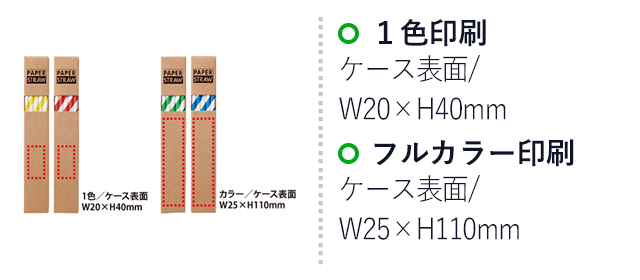 紙製ストロー10P（V010454）名入れ画像 1色印刷/ケース表面：W20×H40mm、フルカラー印刷/ケース表面：W25×H110mm