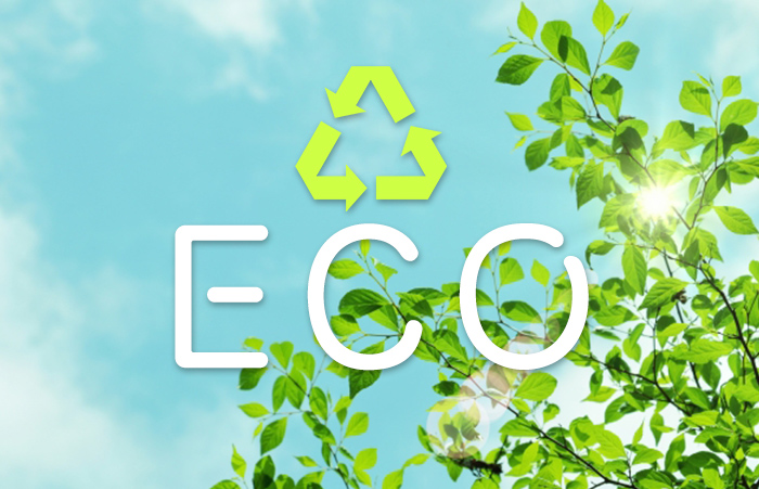 エコイメージ画像