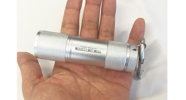 LED9灯カラビナ付ライト（tTS-0629）名入れイメージ