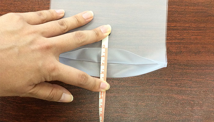 フロストクリア・ガゼットファスナーポーチ（SNS-0600775）幅広いマチ