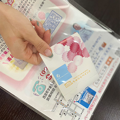 バラエティセット菊-2（heM-031-J）大きめの330ml容量