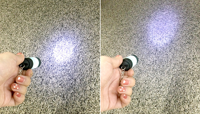 USB充電式蓄光LEDライト（SNS-0600749）内ポケット