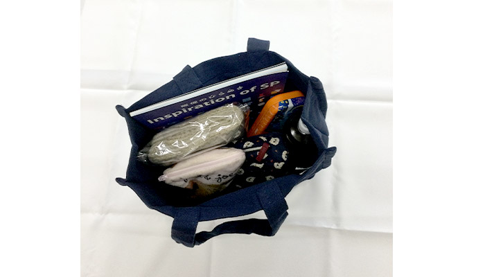 デュラウンド・リサイクルコットンパイピングトート（M）(SNS-0600932)かさばる荷物もしっかり収納