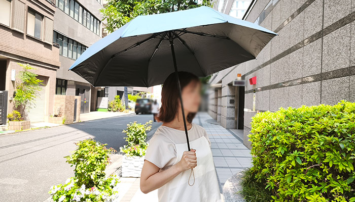 ウッドハンドル遮光耐風折り傘(晴雨兼用)(SNS-0900104)日傘としてさす